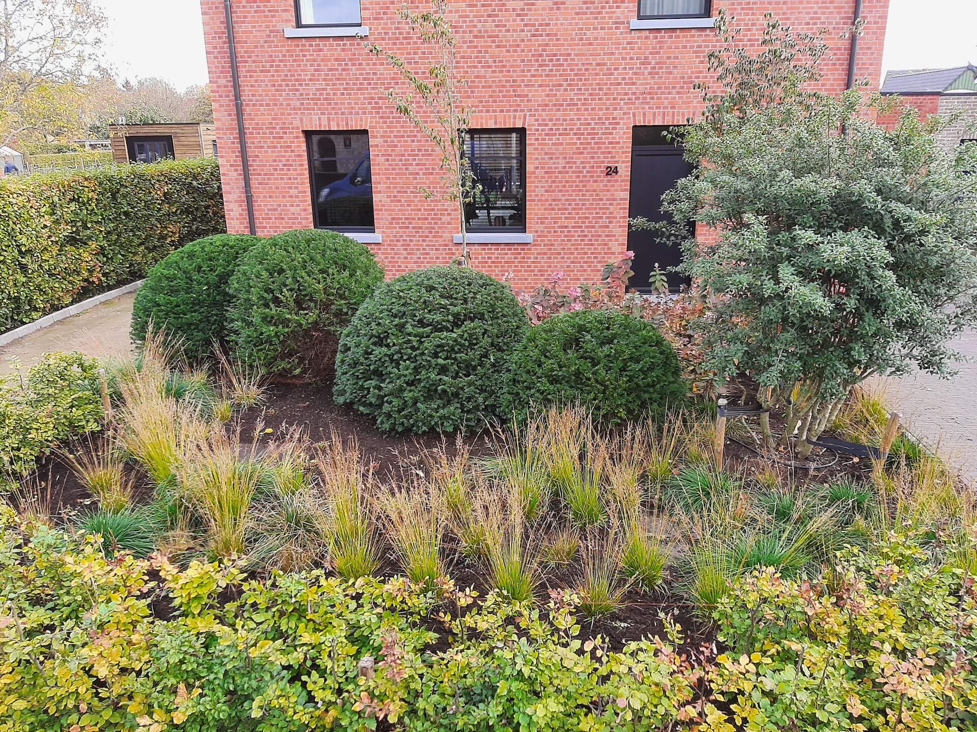 Tuin foto 11