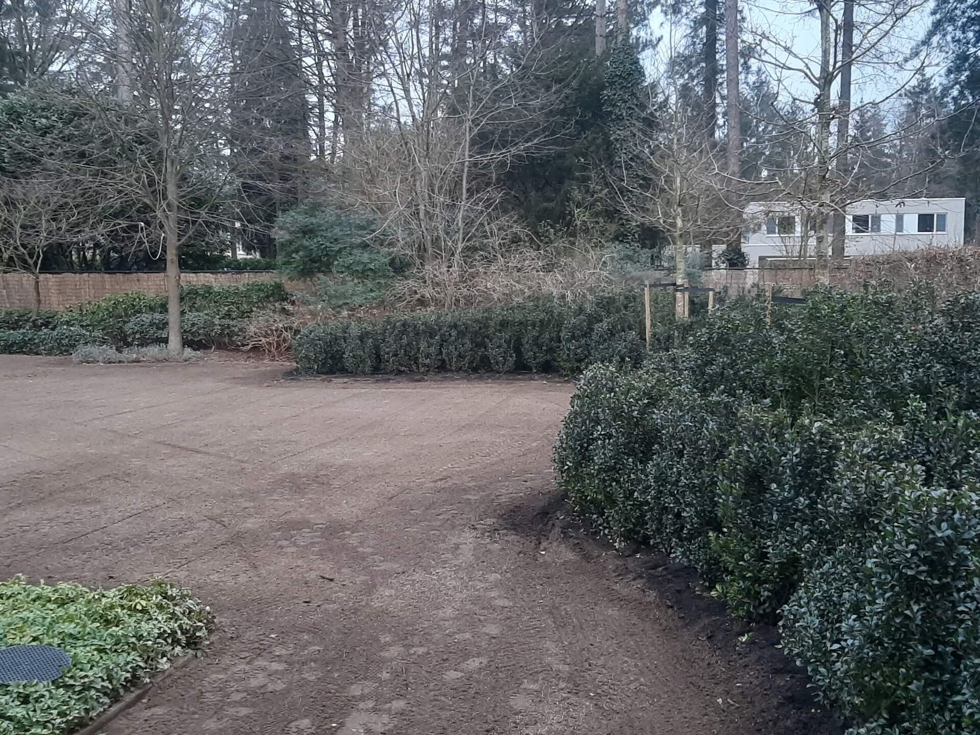 Tuin foto 12