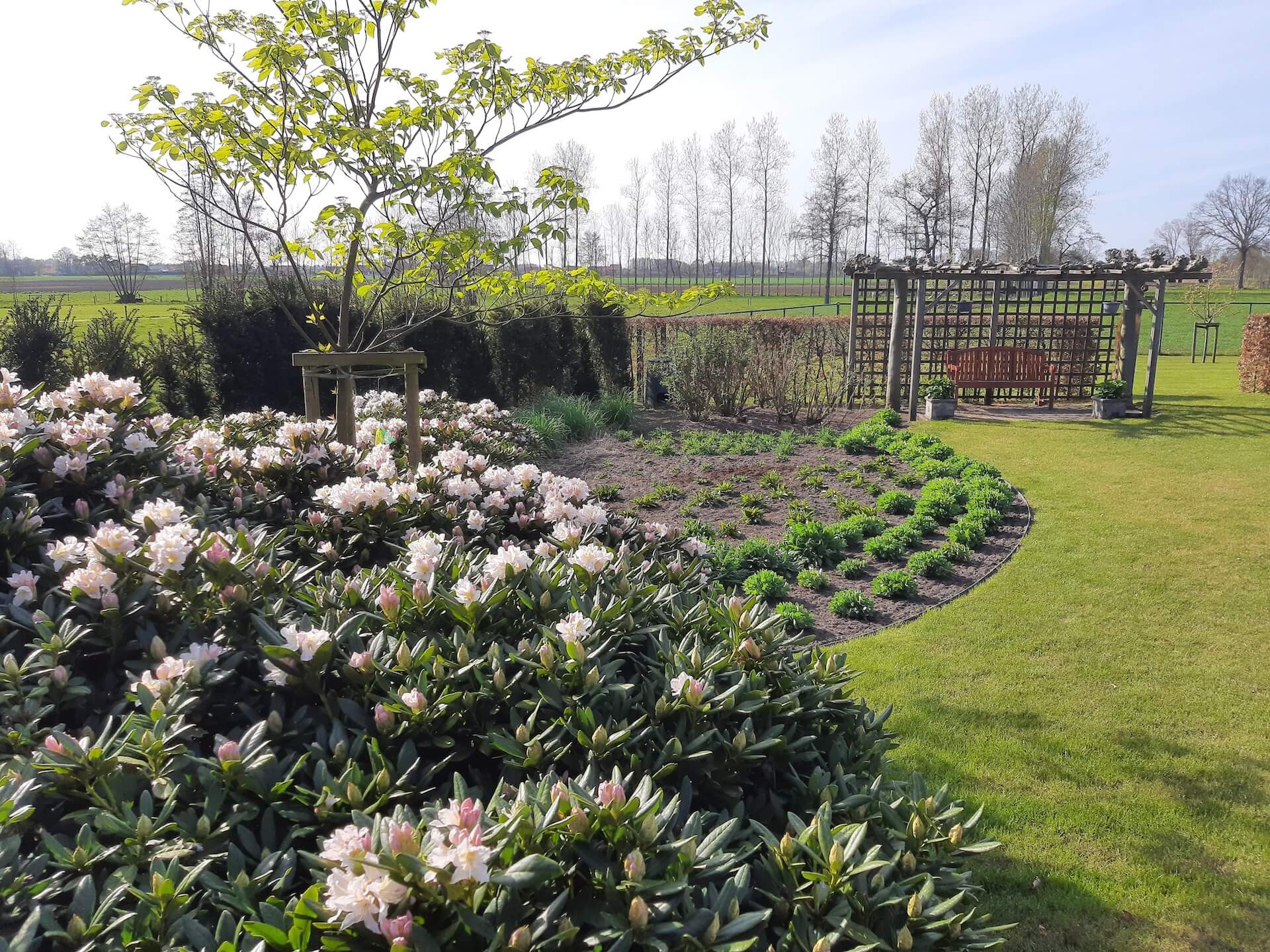 Tuin foto 14