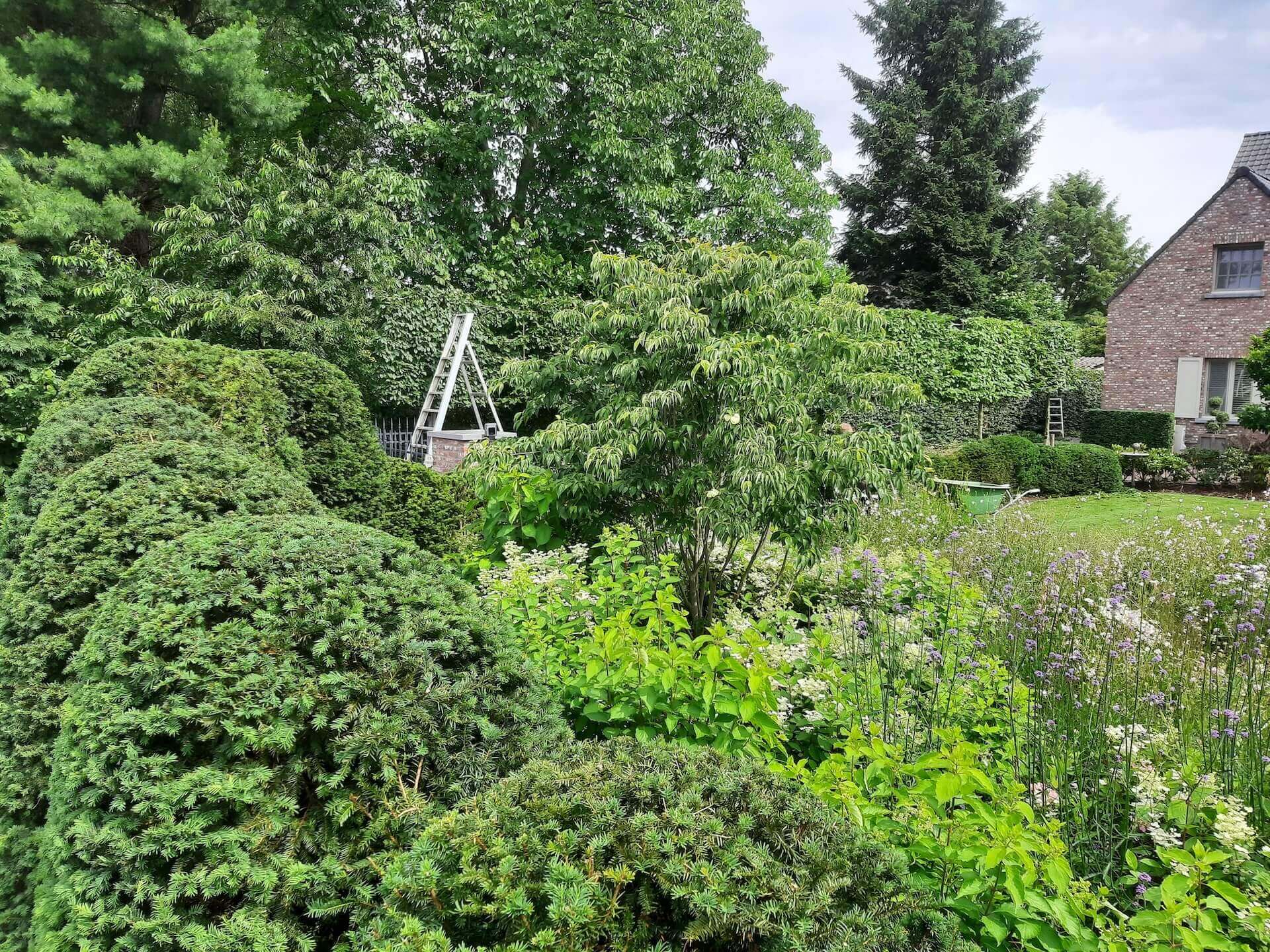 Tuin foto 19