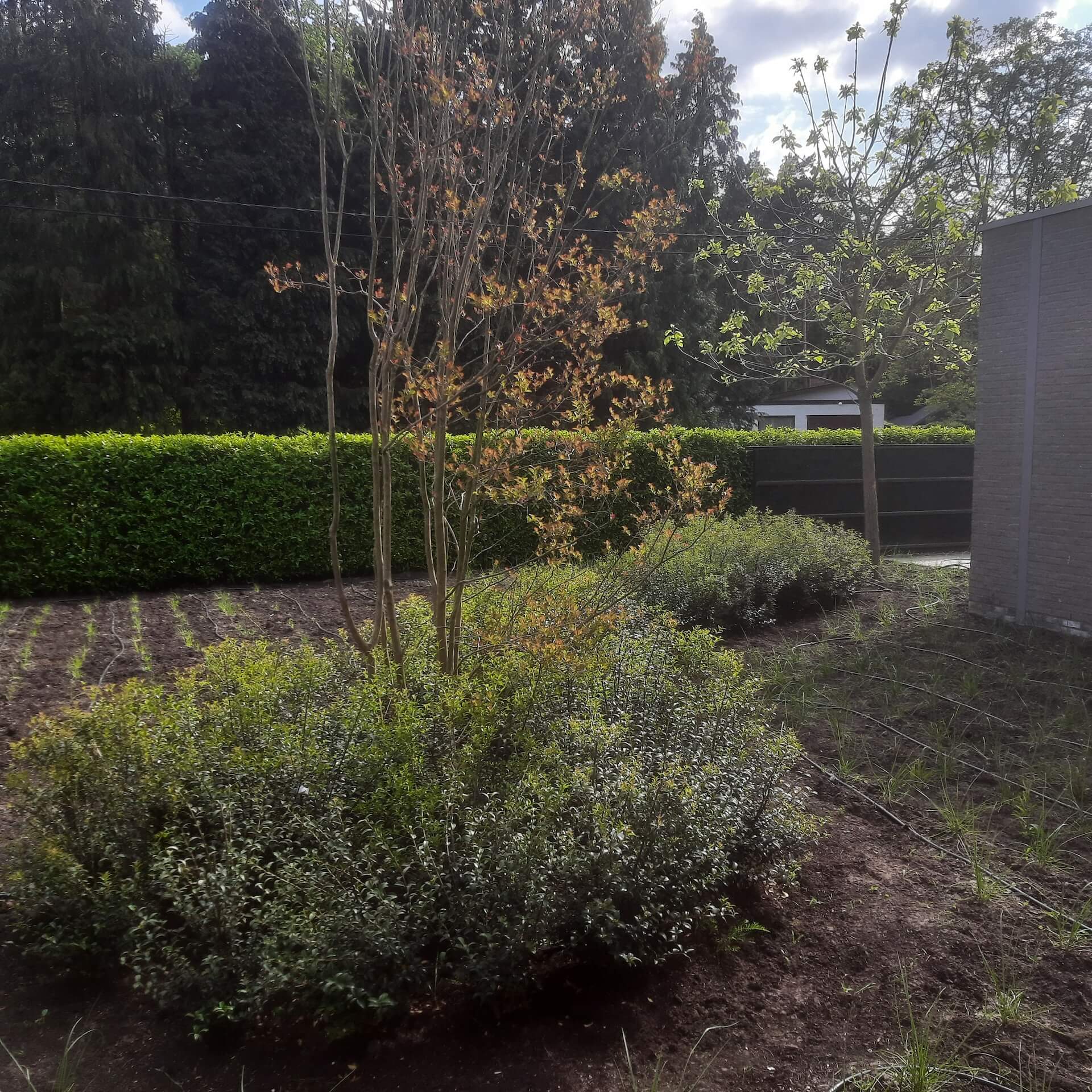 Tuin foto 25
