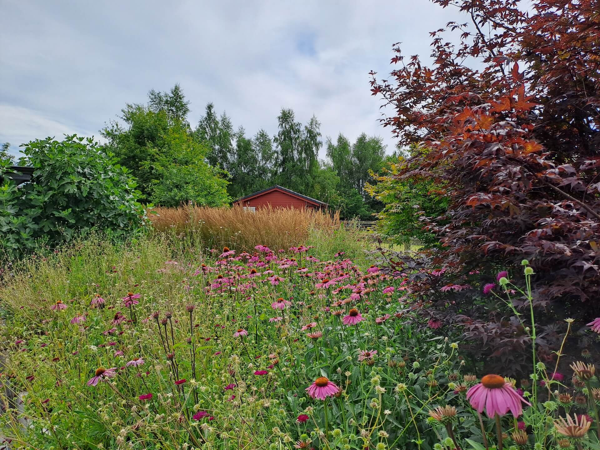 Tuin foto 27