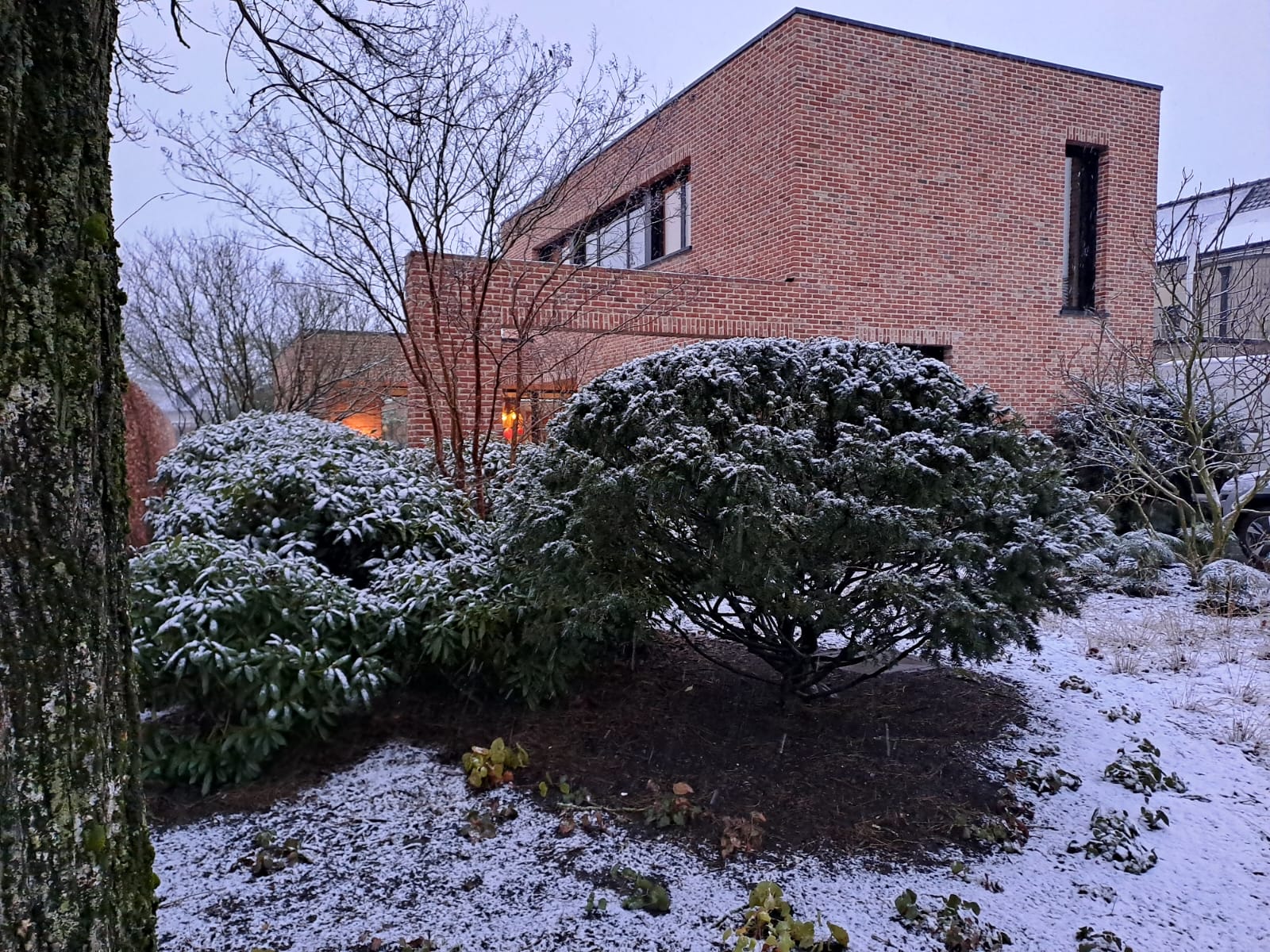 Tuin foto 35