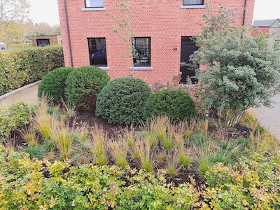 Tuin foto 11