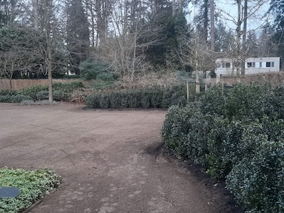 Tuin foto 12