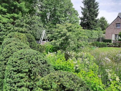 Tuin foto 19