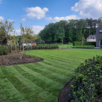 Tuin foto 28