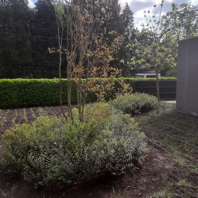 Tuin foto 25