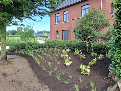 Tuin foto 30