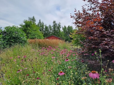 Tuin foto 27