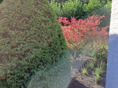 Tuin foto 34