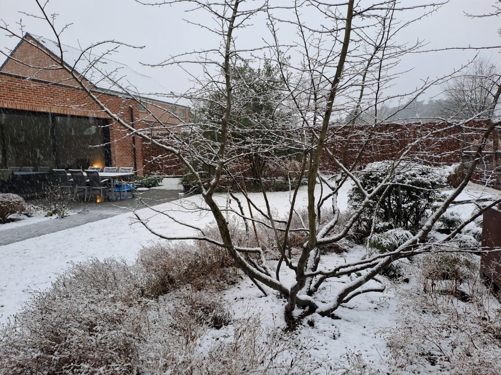Tuin foto 15
